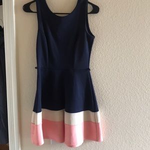 Navy blue / Pink dress